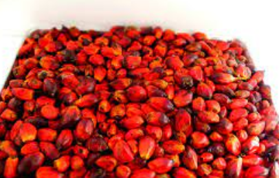 Palm Nut Per ton